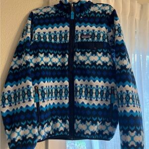 Patagonia Synchilla Hoodie